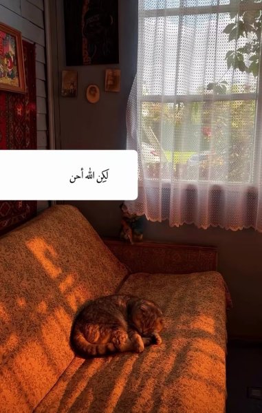 Screenshot_٢٠٢٦٠٧٠٢-١٩٠٠٤٢_Facebook.jpg