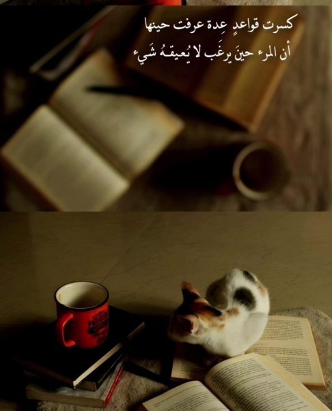 Screenshot_٢٠٢٦٠٧٢٠-١٤٤٤٢٠_Instagram.jpg