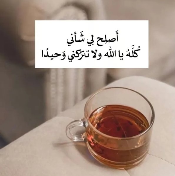 Screenshot_٢٠٢٦٠٨٠٣-٢٣٢٨٠١_Instagram.jpg