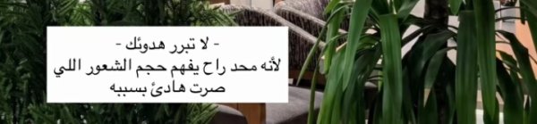 Screenshot_٢٠٢٦٠٨٠٦-٠١٠٨٤١_Instagram.jpg