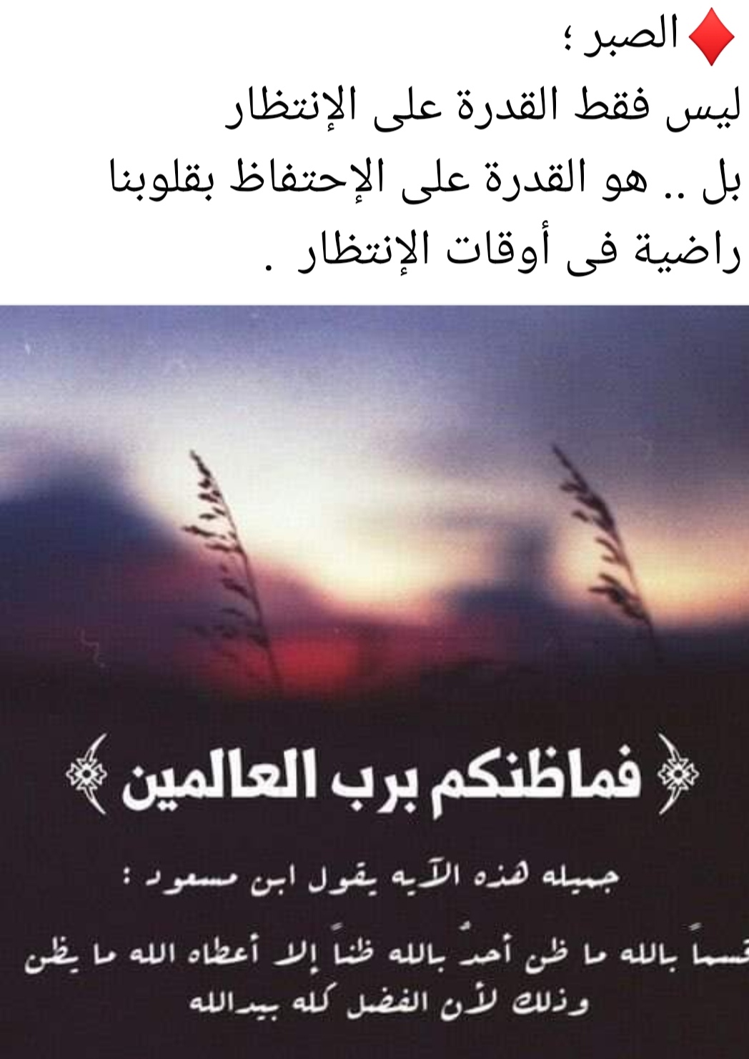 Screenshot_20240606_203212.jpg