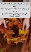 Screenshot_٢٠٢٣-١٢-١٣-١٧-٢١-٥٩-٣٩٥_com.zhiliaoapp.musically-edit.jpg