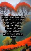 Screenshot_٢٠٢٣-١٢-١٣-١٧-٢٣-٥٣-٧٠١_com.zhiliaoapp.musically-edit.jpg