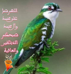 المحترف للكتابة على الصور1689558906024.png