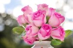 pink-roses-roses-flowers-romance-romantic-love-valentine-floral-bouquet.jpg