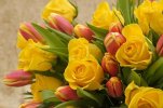 bouquet-bouquet-of-roses-tulip-bouquet-roses-tulips-flowers-spring-background-map.jpg
