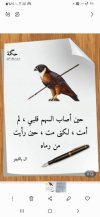 Screenshot_٢٠٢٤٠٨١٥-١٥١٠١٣_Gallery.jpg