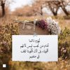 Screenshot_٢٠٢٤-٠٨-٢٠-٢٢-٠٣-٢٣-٨١٨_com.instagram.android-edit.jpg