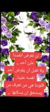 Screenshot_٢٠٢٥٠٢٠٧-١١٤٤٣٦.png