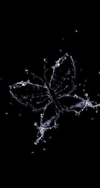 5316b3bfd23e1ab7d11b7f455c78665d.jpg