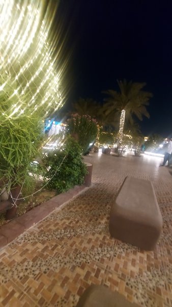 ٢٠٢٥٠٦١٠_٠٠١٢٣٤.jpg