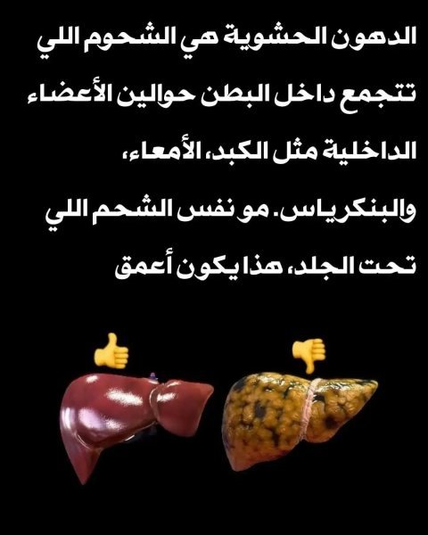 FB_IMG_1753998934935.jpg