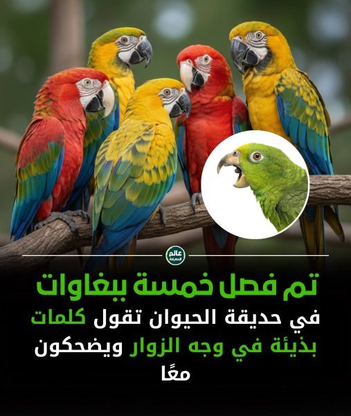 FB_IMG_1757960204236.jpg
