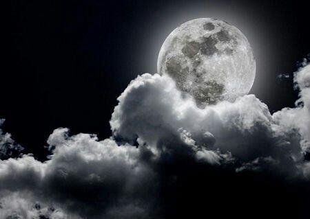 IMG_٢٠٢٥١٠٠٦_١١١٧٠٤_١١١٧٣٤.jpg