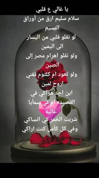 images (36).jpeg