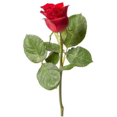 images - 2025-11-04T113045.876.jpeg