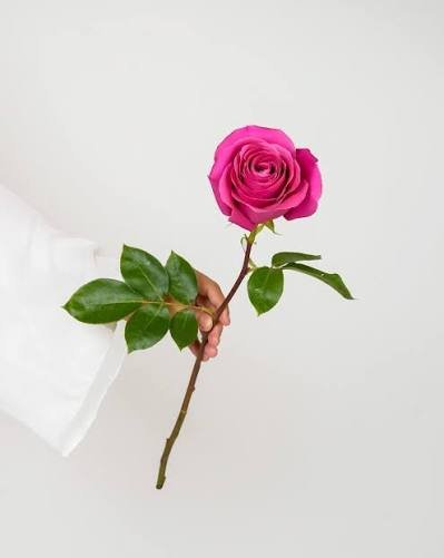 images - 2025-11-04T112951.571.jpeg