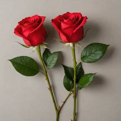 images - 2025-11-15T125658.502.jpeg