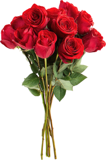 canva-red-rose-bouquet,-isolated-on-black-MAGx1VYQl2s.png