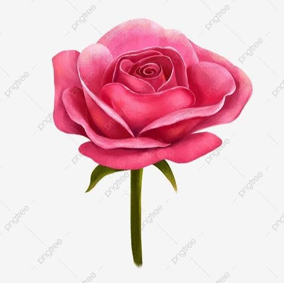 images - 2026-01-11T171454.163.jpeg