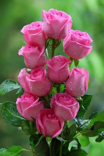 images - 2026-03-28T100348.861.jpeg