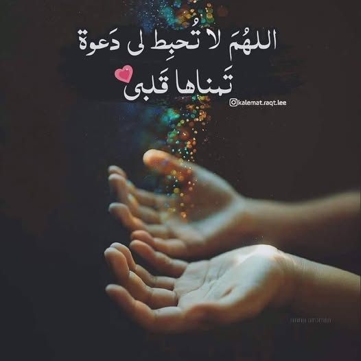 1775094261247.png