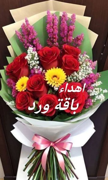 FB_IMG_1774863837546.jpg