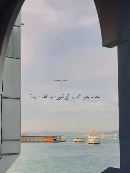 1777526674172.png