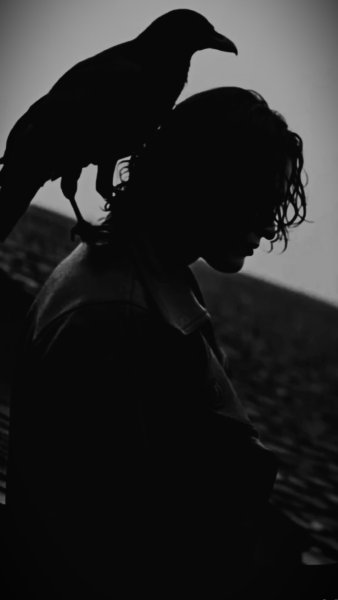 862fbe2edbee83678a9786d414be6575.jpg