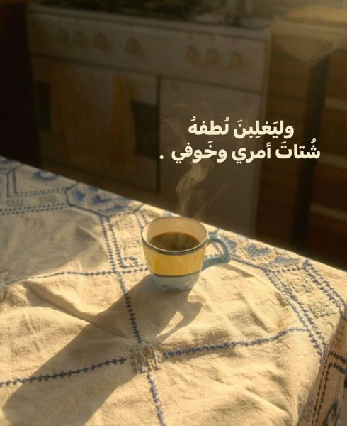 7a58ef46bd59ece936a9a43e09e7f895.jpg