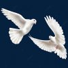 pngtree-two-white-world-peace-doves-png-image_2337322.jpg