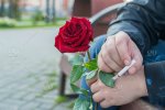 stock-photo-flower-people-red-rose-hand-bench-smoking-cigarette-man-1ea28f4e-eb75-4539-befa-6d...jpg