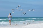 young-woman-feeding-seagulls-tropical-beach-florida-summer-holiday-vacation-66309719.jpg