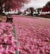 روي عن أمير المؤمنين عليه السلام... - الأمام علي رمز الشجاعة | Facebook