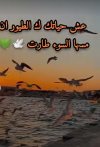 IMG_٢٠٢٢٠٢٠١_١٨٣٢٤٥.jpg