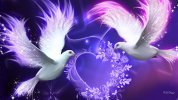 birds-bright-valentine-purple-doves-animals-birds-hd-art-wallpaper-preview.jpg