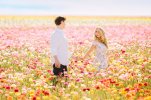 flowerfield-engagmenet-01.jpg