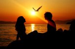 desktop-wallpaper-sunset-sea-sun-summer-love-silhouette-bird-girl-man-gull-seagull-dom-ray.jpg