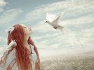 HD-wallpaper-first-snow-fantasy-snow-flowers-dove-sky-field-thumbnail.jpg