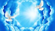 desktop-wallpaper-dove-background-peaceful-dove-dove-and-dove-background-funeral-clouds.jpg