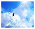 desktop-wallpaper-stairway-to-heaven-white-stairway-dove-girl-blue-sky-light-heaven-clouds-sun.jpg