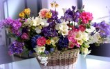 desktop-wallpaper-flowers-bright-beautiful-bouquet-basket-different.jpg