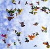 desktop-wallpaper-dove-colorful-sky-fly.jpg