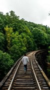 desktop-wallpaper-railway-man-walk-trees.jpg