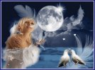 desktop-wallpaper-love-feather-magic-moon-dove.jpg
