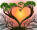 desktop-wallpaper-love-is-in-the-air-birds-love-branches-shape-heart-sun-tree.jpg