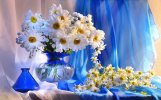 desktop-wallpaper-flowers-camomile-registration-typography-bouquet-vase.jpg