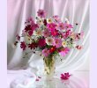 desktop-wallpaper-little-bit-of-pretty-pink-white-drape-petals-vase-flowers-daisies.jpg