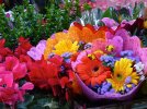 desktop-wallpaper-colourful-bouquet-bouquet-colourful-nature-flowers.jpg