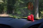 red-rose-on-car-dashboard-reflection-on-car-glass-sun-ray-love-romantic-romance-feeling-emotio...jpg
